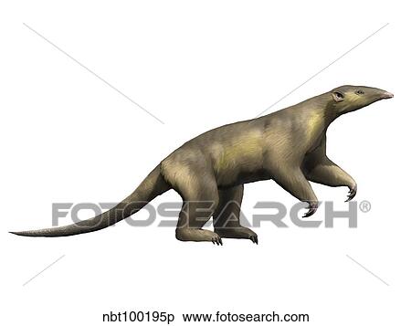Eurotamandua is an extinct mammal from the Eocene epoch. View Large Illustration Stock Illustration - Eurotamandua is an extinct mammal from the Eocene epoch.. Fotosearch