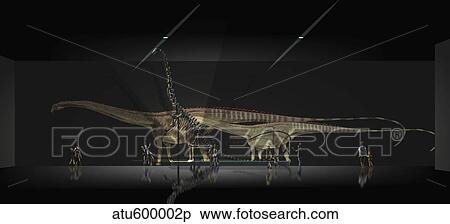 Exhibition space featuring Diplodocus longus View Large Illustration Stock Illustration - Exhibition space featuring Diplodocus longus. Fotosearch