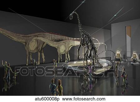 Exhibition space featuring Diplodocus longus View Large Illustration Stock Illustration - Exhibition space featuring Diplodocus longus. Fotosearch