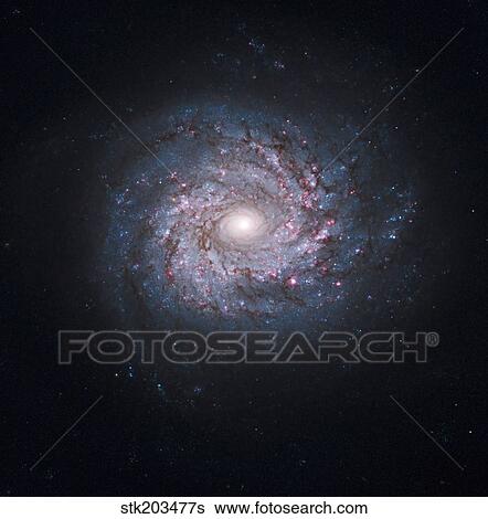 Face-on spiral galaxy NGC 3982. View Large Photo Image Stock Photograph - Face-on spiral galaxy NGC 3982.. Fotosearch