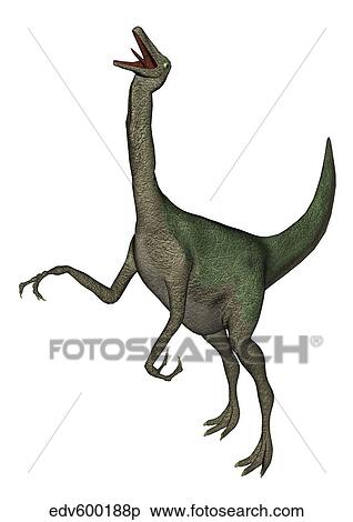 Gallimimus dinosaur roaring. View Large Illustration Stock Illustration - Gallimimus dinosaur roaring.. Fotosearch