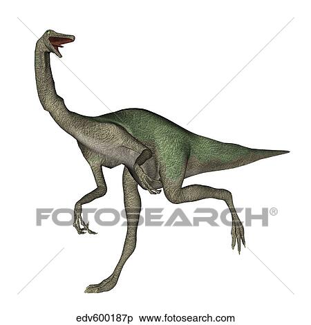 Gallimimus dinosaur. View Large Illustration Stock Illustration - Gallimimus dinosaur.. Fotosearch