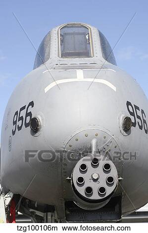 GAU-8 Avenger gun on the front of an A-10 Thunderbolt. View Large Photo Image Picture - GAU-8 Avenger gun on the front of an A-10 Thunderbolt.. Fotosearch