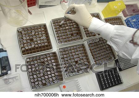 Generic vials with chemicals in research lab. View Large Photo Image Stock Image - Generic vials with chemicals in research lab.. Fotosearch