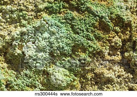 Stock Photograph - Geothermally active area around Paliochori Bay, Milos Island, Greece.. Fotosearch