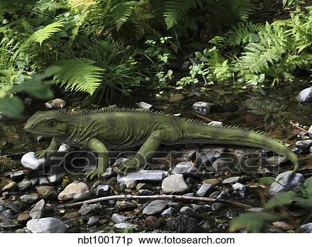 Gephyrosaurus is an extinct animal from the Early Jurassic period. View Large Illustration Stock Illustration - Gephyrosaurus is an extinct animal from the Early Jurassic period.. Fotosearch