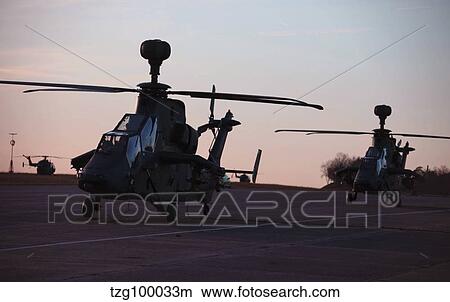 German Tiger Eurocopters at Stendal Airfield, Germany. View Large Photo Image Picture - German Tiger Eurocopters at Stendal Airfield, Germany.. Fotosearch
