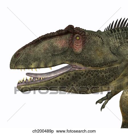 Giganotosaurus dinosaur head. View Large Illustration Stock Illustration - Giganotosaurus dinosaur head.. Fotosearch