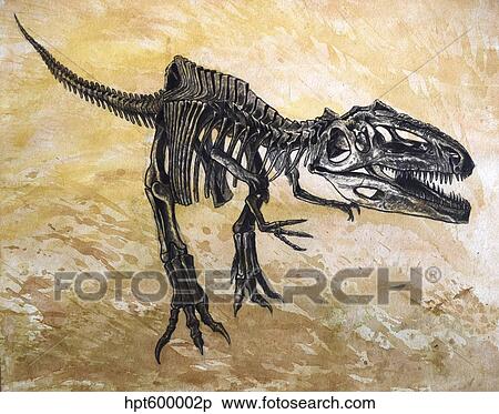 Giganotosaurus dinosaur skeleton. View Large Illustration Stock Illustration - Giganotosaurus dinosaur skeleton.. Fotosearch