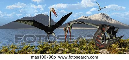 Gigantic Quetzalcoatlus pterosaurs. View Large Illustration Stock Illustration - Gigantic Quetzalcoatlus pterosaurs.. Fotosearch