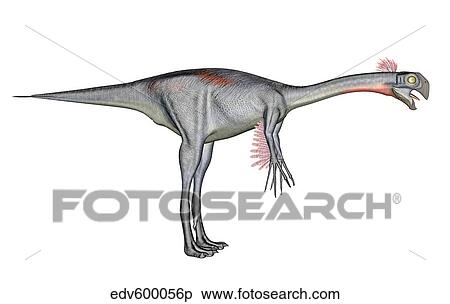 Gigantoraptor dinosaur, white background. View Large Illustration Stock Illustration - Gigantoraptor dinosaur, white background.. Fotosearch