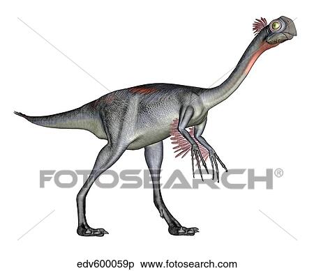 Gigantoraptor dinosaur, white background. View Large Illustration Stock Illustration - Gigantoraptor dinosaur, white background.. Fotosearch