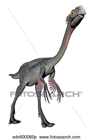 Gigantoraptor dinosaur, white background. View Large Illustration Stock Illustration - Gigantoraptor dinosaur, white background.. Fotosearch