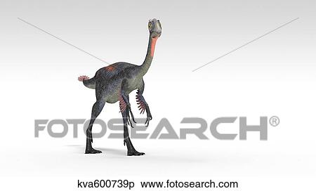 Stock Illustration - Gigantoraptor dinosaur, white background.. Fotosearch