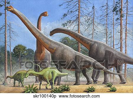 Giraffatitan and Dicraeosaurus dinosaurs grazing in a prehistoric environment. View Large Illustration Stock Illustration - Giraffatitan and Dicraeosaurus dinosaurs grazing in a prehistoric environment.. Fotosearch