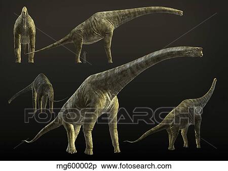 Stock Illustration - Giraffatitan brancai, a sauropod dinosaur from the Late Jurassic period.. Fotosearch