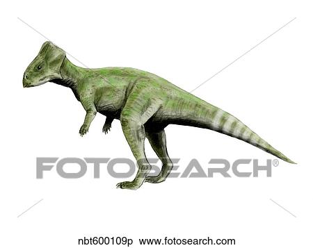 Graciliceratops dinosaur. View Large Illustration Stock Illustration - Graciliceratops dinosaur.. Fotosearch