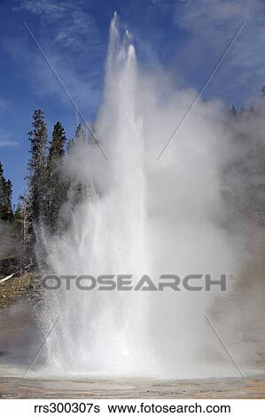 Grand Geyser erupting, Upper Geyser Basin geothermal area, Yellowstone National Park. View Large Photo Image Stock Photograph - Grand Geyser erupting, Upper Geyser Basin geothermal area, Yellowstone National Park.. Fotosearch