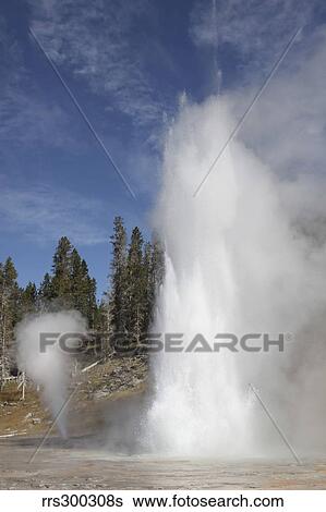 Grand Geyser erupting, Upper Geyser Basin geothermal area, Yellowstone National Park. View Large Photo Image Stock Photograph - Grand Geyser erupting, Upper Geyser Basin geothermal area, Yellowstone National Park.. Fotosearch