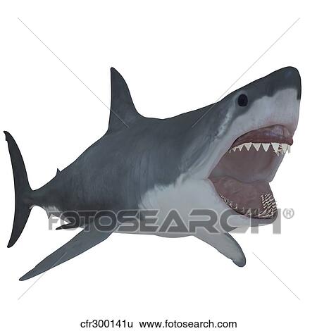 Great White Shark View Large Illustration Stock Illustration - Great White Shark. Fotosearch