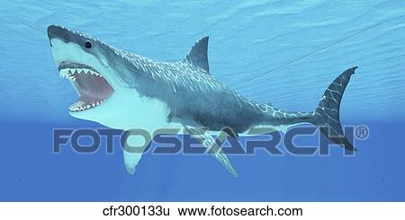 Great White Shark swimming underwater. View Large Illustration Stock Illustration - Great White Shark swimming underwater.. Fotosearch