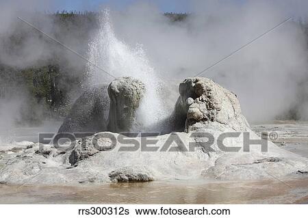 Grotto Geyser eruption, Upper Geyser Basin geothermal area, Yellowstone National Park. View Large Photo Image Stock Photograph - Grotto Geyser eruption, Upper Geyser Basin geothermal area, Yellowstone National Park.. Fotosearch