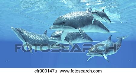 Group of bottlenose dolphins foraging the ocean. View Large Illustration Stock Illustration - Group of bottlenose dolphins foraging the ocean.. Fotosearch