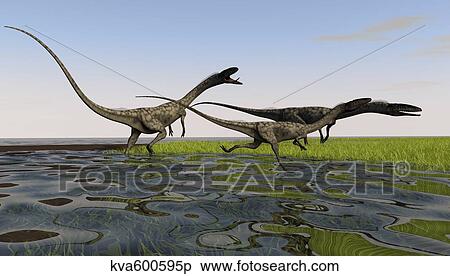 Stock Illustration - Group of Coelophysis dinosaurs running through swampy water.. Fotosearch