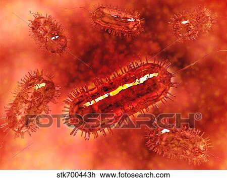 Drawing - Group of Escherichia coli bacteria cells, known as E. Coli.. Fotosearch