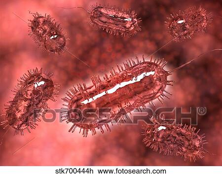Group of Escherichia coli bacteria cells, known as E. Coli. View Large Illustration Drawing - Group of Escherichia coli bacteria cells, known as E. Coli.. Fotosearch