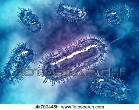Group of Escherichia coli bacteria cells, known as E. Coli. View Large Illustration Drawing - Group of Escherichia coli bacteria cells, known as E. Coli.. Fotosearch