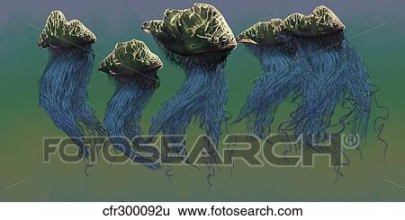 Group of Portuguese Man O' War. View Large Illustration Stock Illustration - Group of Portuguese Man O' War.. Fotosearch