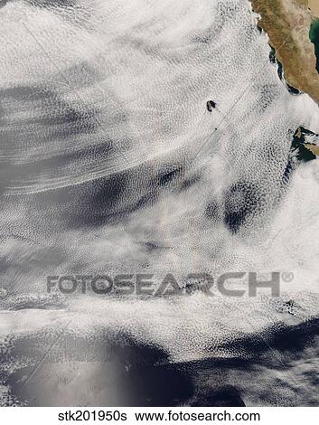 Guadalupe Island, off the coast of Mexico's Baja Peninsula. View Large Photo Image Stock Photograph - Guadalupe Island, off the coast of Mexico's Baja Peninsula.. Fotosearch