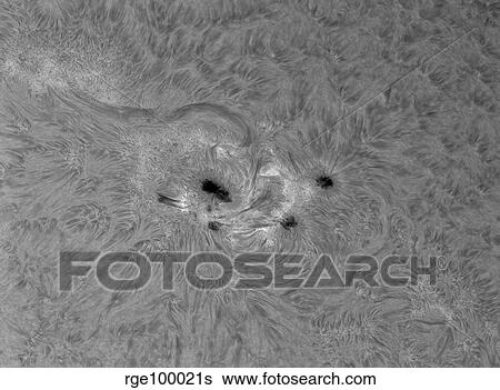 H-alpha Sun with active area. View Large Photo Image Stock Photograph - H-alpha Sun with active area.. Fotosearch