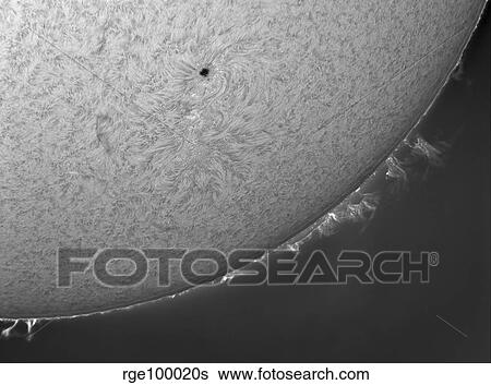 Stock Photograph - H-alpha Sun with solar prominences.. Fotosearch