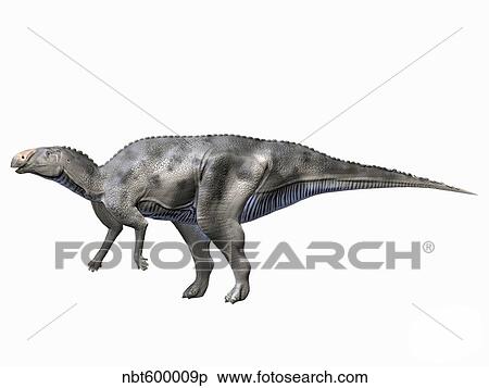 Hadrosaurus foulkii, Late Cretaceous of New Jersey. View Large Illustration Stock Illustration - Hadrosaurus foulkii, Late Cretaceous of New Jersey.. Fotosearch