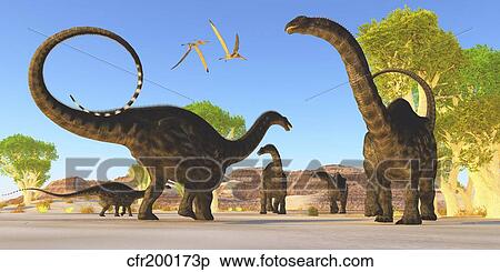 Herd of Apatosaurus dinosaurs wander through a prehistoric forest. View Large Illustration Stock Illustration - Herd of Apatosaurus dinosaurs wander through a prehistoric forest.. Fotosearch