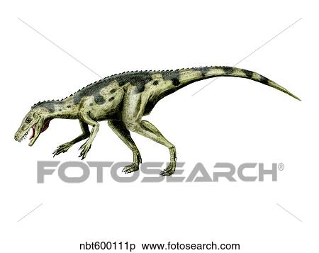Herrerasaurus dinosaur. View Large Illustration Stock Illustration - Herrerasaurus dinosaur.. Fotosearch