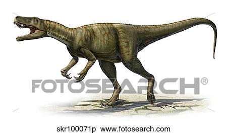 Herrerasaurus ischigualastensis, a prehistoric era dinosaur. View Large Illustration Stock Illustration - Herrerasaurus ischigualastensis, a prehistoric era dinosaur.. Fotosearch