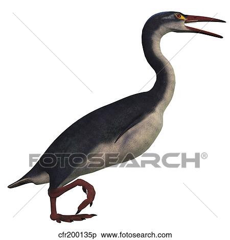 Stock Illustration - Hesperornis, a genus of flightless birds from the Cretaceous Period.. Fotosearch
