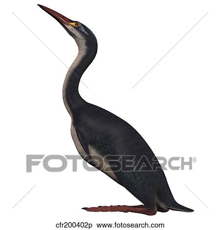 Stock Illustration - Hesperornis is a flightless bird of the Cretaceous period.. Fotosearch