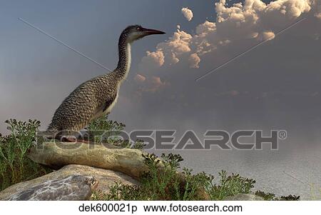 Hesperornis on the shoreline. View Large Illustration Stock Illustration - Hesperornis on the shoreline.. Fotosearch