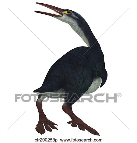 Hesperornis was a a flightless bird that lived during the Cretaceous Period. View Large Illustration Stock Illustration - Hesperornis was a a flightless bird that lived during the Cretaceous Period.. Fotosearch