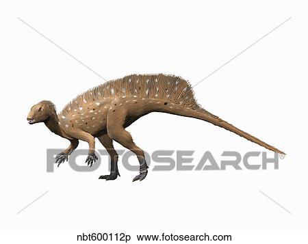 Stock Illustration - Heterodontosaurus dinosaur.. Fotosearch