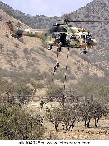 Picture - hilean Special Forces perform an Air Assault demonstration at their training area in Colina, Chile.. Fotosearch