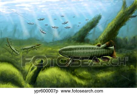 Holoptychius, Tulerpeton and Moythomasia, prehistoric fish of the Devonian period. View Large Illustration Stock Illustration - Holoptychius, Tulerpeton and Moythomasia, prehistoric fish of the Devonian period.. Fotosearch