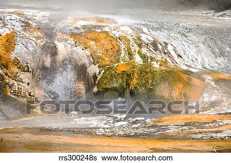 Stock Photograph - Hot Spring, Warbrick Terrace geothermal area, Waimangu Valley, New Zealand.. Fotosearch