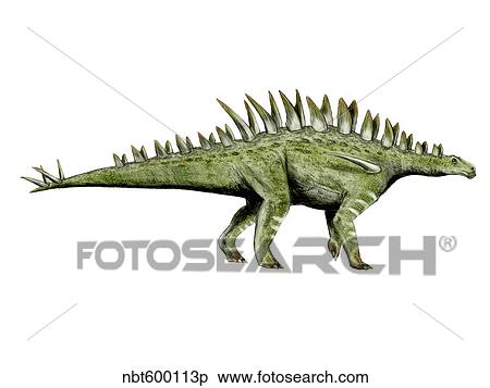 Huayangosaurus dinosaur. View Large Illustration Stock Illustration - Huayangosaurus dinosaur.. Fotosearch