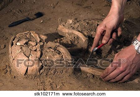 Human remains discovered during an archeological dig. View Large Photo Image Picture - Human remains discovered during an archeological dig.. Fotosearch
