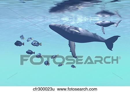 Stock Illustration - Humpback mother and calf swim near the surface.. Fotosearch